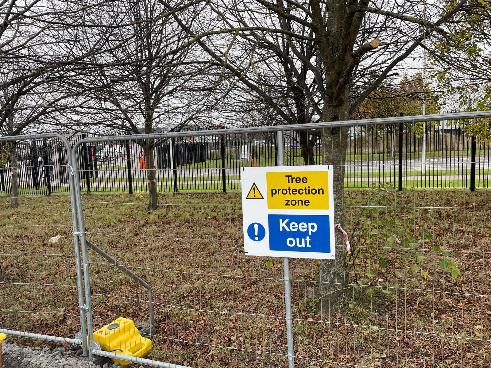 Tree protection during construction