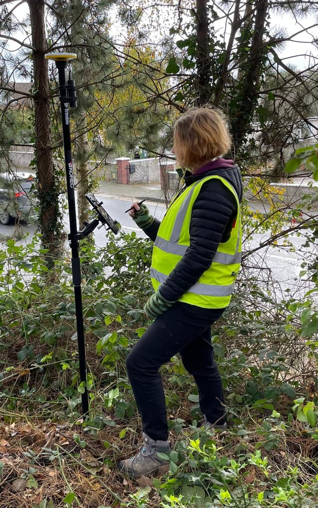 Project manager facilitating a tree survey on site